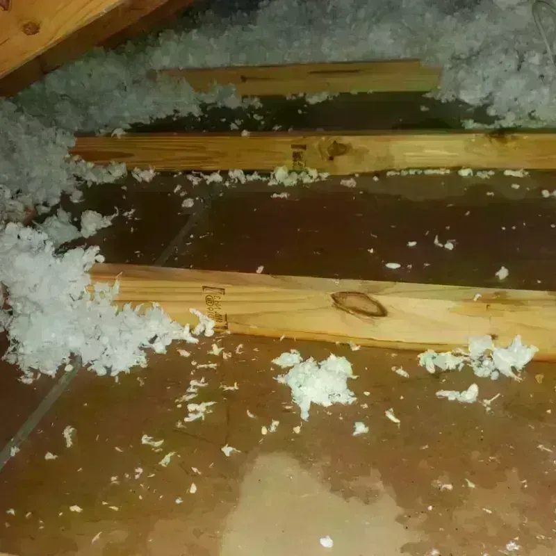 Attic Water Damage in Campbell County, WY