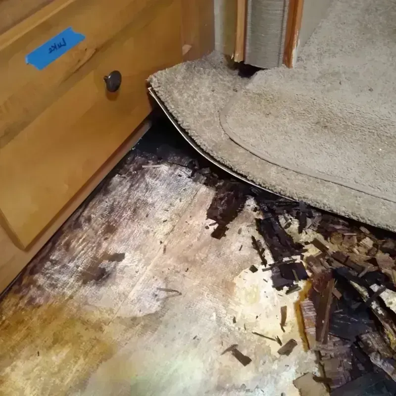 Wood Floor Water Damage in Campbell County, WY